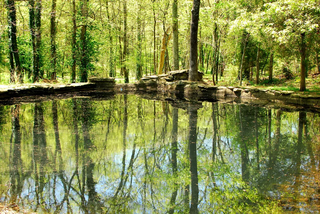 A still woodland pond reflecting tall spring-green trees in the Cheekwood gardens